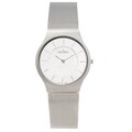 Skagen Men's Stainless Steel Analog Mesh Strap Watch