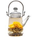 Tea Beyond Glass 16-Ounce Non-Dripping Hand Crafted Teapot Duo