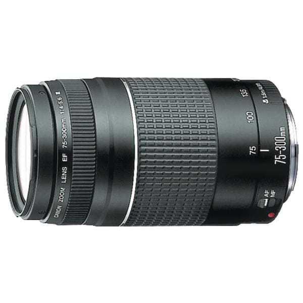 Canon EF 75-300 4.0-5.6 III Telephoto Zoom Lens