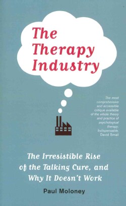 The Therapy Industry: The Irresistible Rise of the Talking Cure, and Why It Doesn't Work (Paperback)