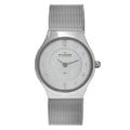 Skagen Women's Stainless Steel Crystal Watch
