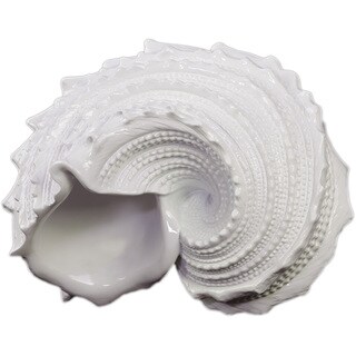 Urban Trends Collection White Resin Nautilus Seashell