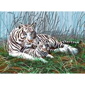 Junior Large Paint By Number Kit 15-1/4"X11-1/4"-White Tigers In The Mist