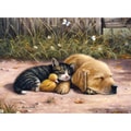 Junior Large Paint By Number Kit 15-1/4"X11-1/4"-Sleepy Day