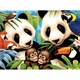 Junior Large Paint By Number Kit 15-1/4" X 11-1/4"-Endangered Animals