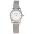 Skagen Women's Stainless Steel Mesh Strap Watch