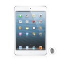 Apple iPad Mini Anti-Fingerprint LED Screen Protector