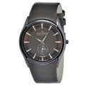 Skagen Men's Stainless Steel Brown Leather Strap Watch
