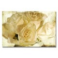 Lois Bryan 'White Rose's' Canvas Art