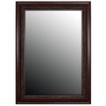 Birds Eye Cherry Gold Accents Mirror (31x43)