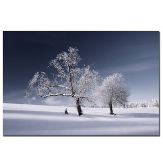 Philippe Sainte-Laudy 'Duo White' Canvas Art
