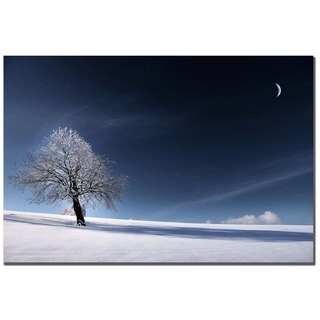 Philippe Sainte-Laudy 'Blue as Snow' Canvas Art