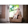 Enchanted Home Pet Chestnut Shearling Club Chair