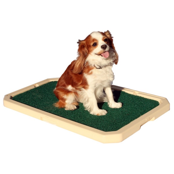 Piddle Place Pet Relief System
