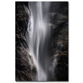 Philippe Sainte-Laudy 'Liquid Light' Canvas Art