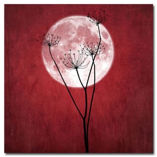 Philippe Sainte-Laudy 'Give me the Moon' Canvas Art