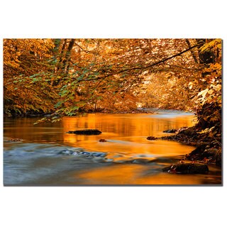 Philippe Sainte-Laudy 'Fluidity' Canvas Art