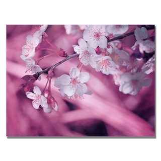 Philippe Sainte-Laudy 'Spring Time' Canvas Art