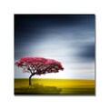 Philippe Sainte-Laudy 'Medusa' Canvas Art