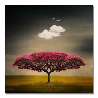 Philippe Sainte-Laudy 'Medusa Cloud' Canvas Art
