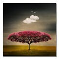 Philippe Sainte-Laudy 'Medusa Cloud' Canvas Art