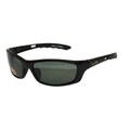 Wiley X P-17 Polarized Active Series Sunglasses