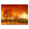 Philippe Sainte-Laudy 'Orange World' Canvas Art