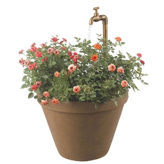 Buy  Leoma Outdoor Fountain
