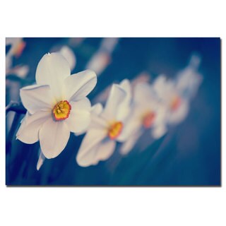 Philippe Sainte-Laudy 'Springtime Scent' Canvas Art