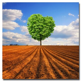 Philippe Sainte Laudy 'Tender Nature' Canvas Art