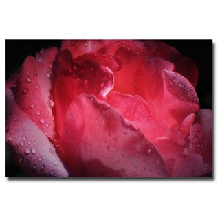 Philippe Sainte Laudy 'Pink Drops' Canvas Art