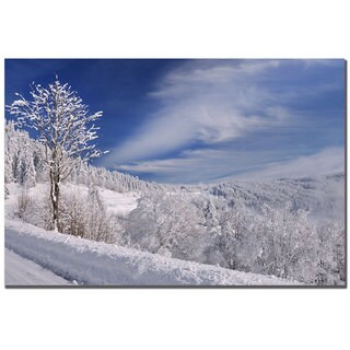 Philippe Sainte-Laudy 'White White World' Canvas Art
