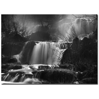 Philippe Sainte-Laudy 'Black and Water' Canvas Art