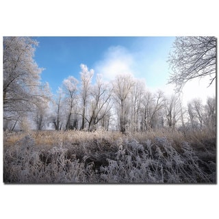 Philippe Sainte-Laudy 'Blue Winter' Canvas Art