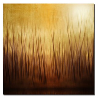 Philippe Sainte-Laudy 'Ghost Forest' Canvas Art