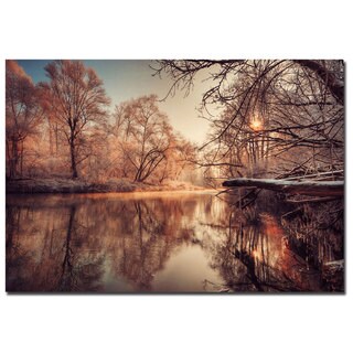 Philippe Sainte-Laudy 'Gliding' Canvas Art