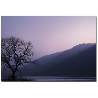 Philippe Sainte-Laudy 'Purple Hours' Canvas Art