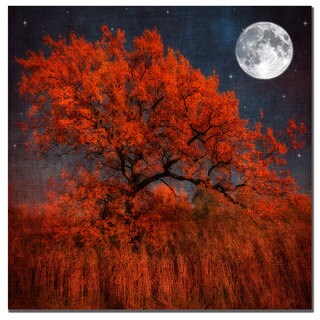 Philippe Sainte-Laudy 'Halloween Color' Canvas Art
