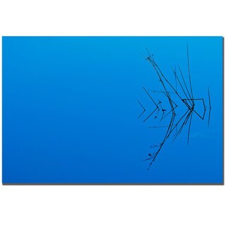 Philippe Sainte-Laudy 'Less is More' Canvas Art
