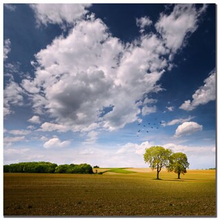 Philippe Sainte-Laudy 'Rebel Sun' Canvas Art