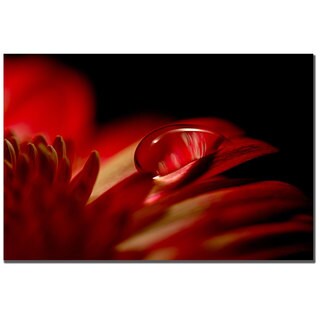 Philippe Sainte-Laudy 'Red Drop' Canvas Art Ready to Hang!