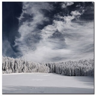 Philippe Sainte-Laudy 'Snowy Sky' Canvas Art