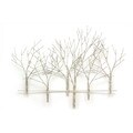 Iron Werks Winter Orchard Wall Sculpture