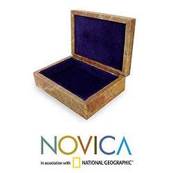 Handcrafted Soapstone 'Happy Elephants' Jewelry Box (India)