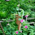 Compelling guides on iron Finish Terracotta Small White Wash Cone Planter (Honduras)