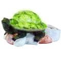 Turtle Amber LED Solar Powered Light