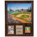 Boston Red Sox Fenway Park 12x15 Cherry Wood Arena Plaque