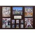St. Louis Cardinals All-time Greats 24x36 Cherry Wood Plaque