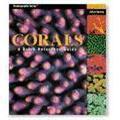 Two Little Fishies Corals Reference Guide -