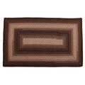 Muddy Waters Braided Indoor/ Outdoor Rug (2' x 3')